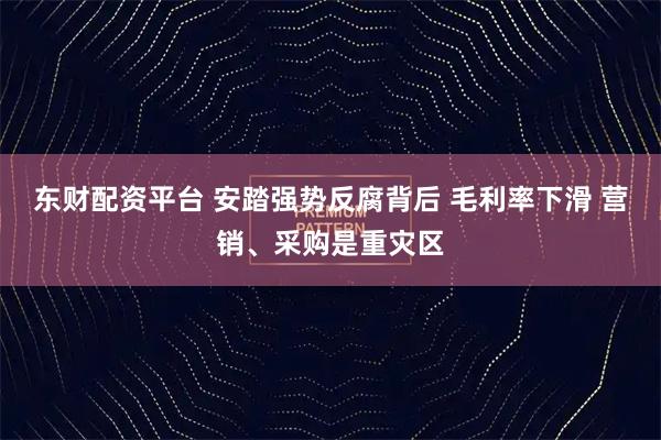 东财配资平台 安踏强势反腐背后 毛利率下滑 营销、采购是重灾区