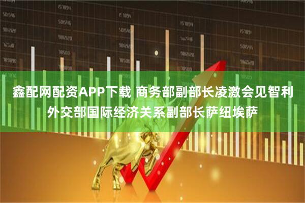 鑫配网配资APP下载 商务部副部长凌激会见智利外交部国际经济关系副部长萨纽埃萨